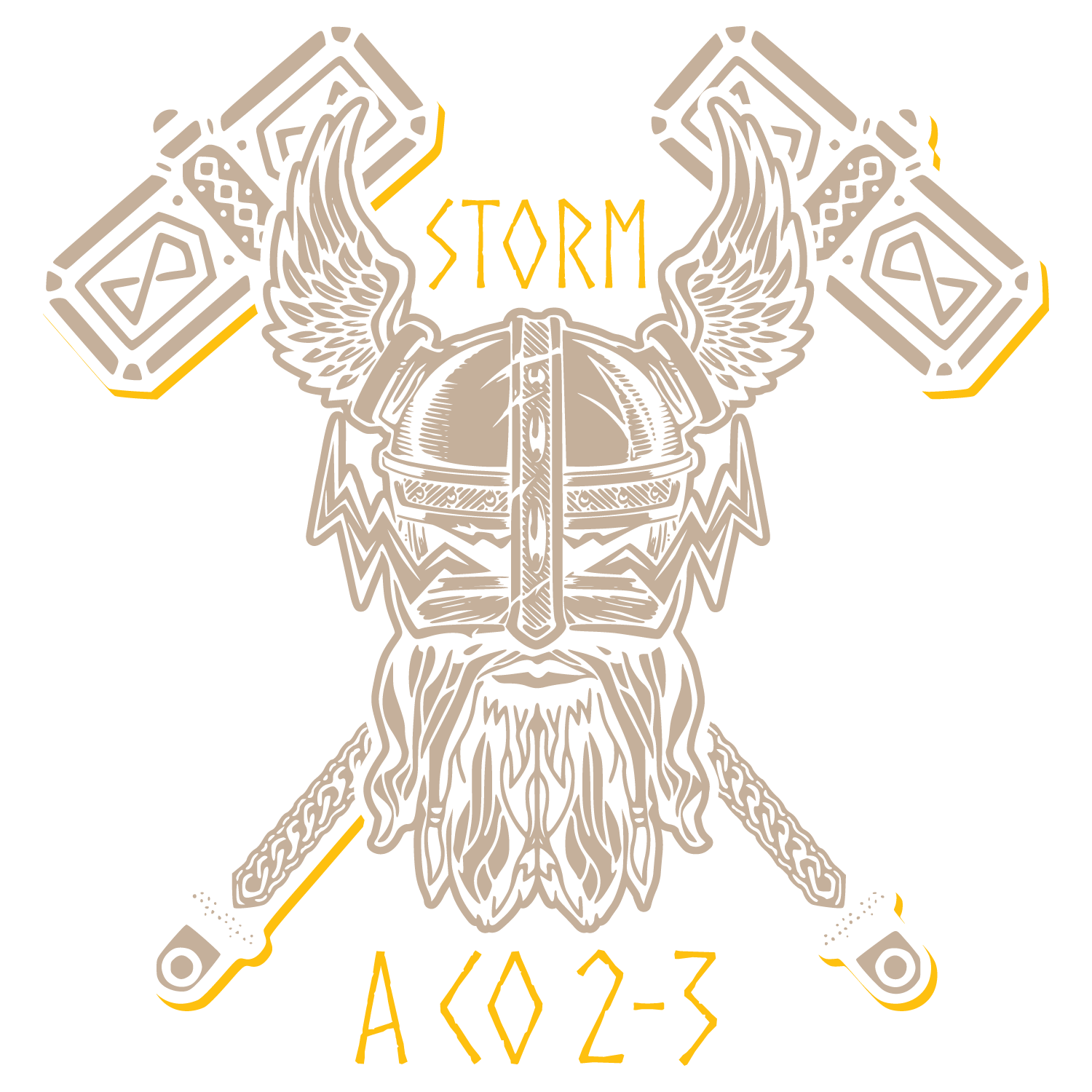 A Co, 2-3 GSAB "Storm"