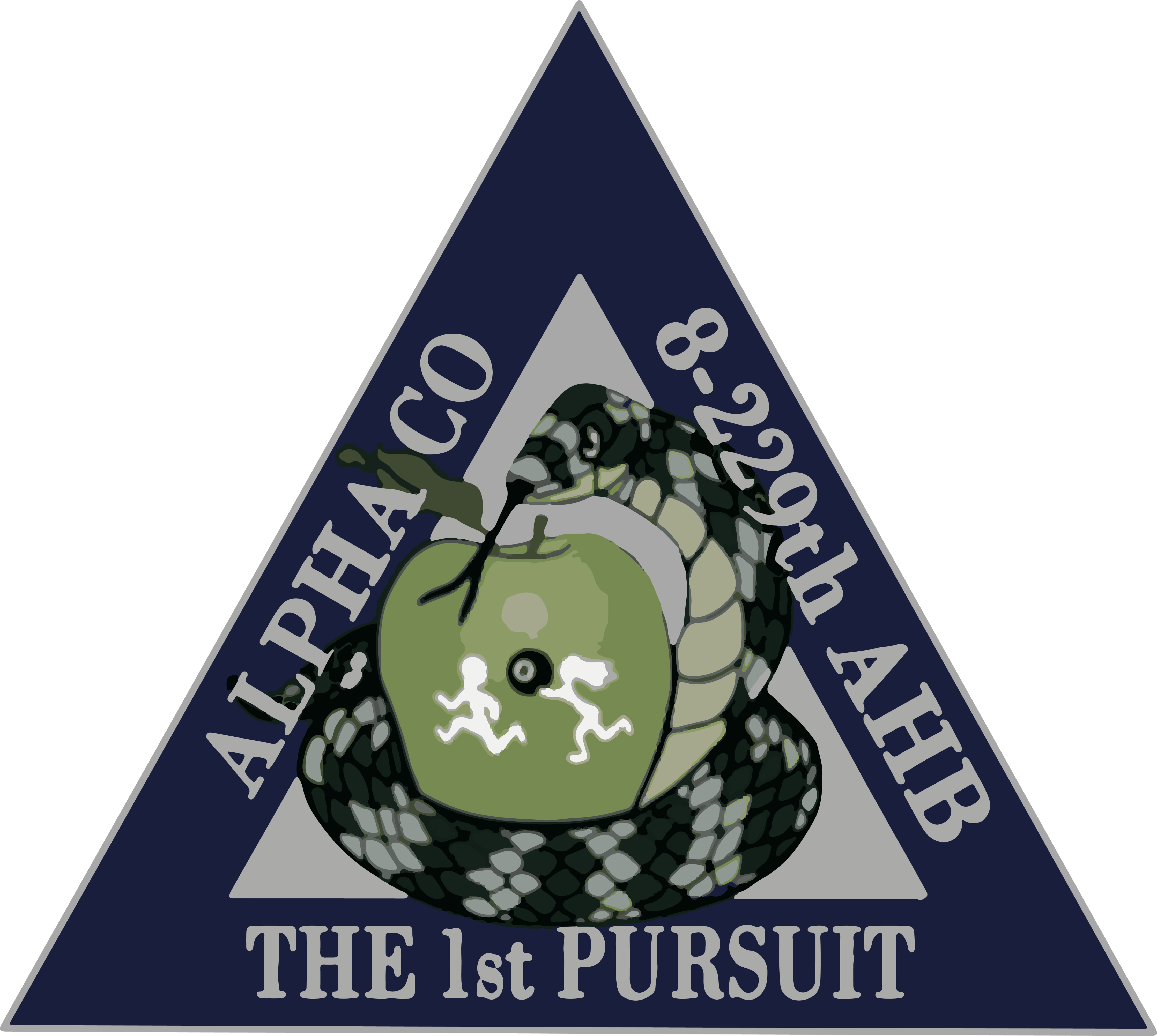 A Co, 8-229 AHB "The 1st Pursuit"