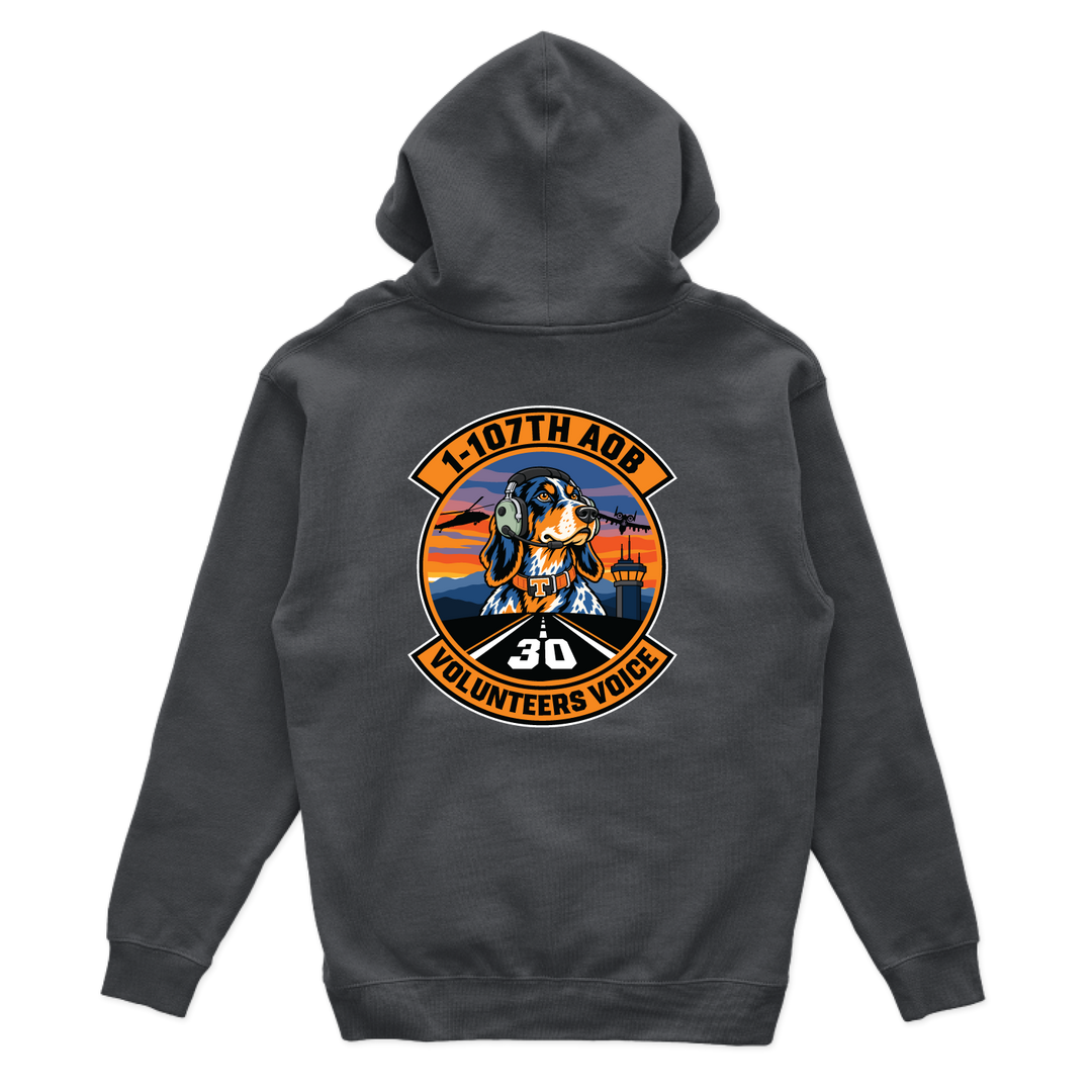 AOB1107_hoodie_charcoal_back.png
