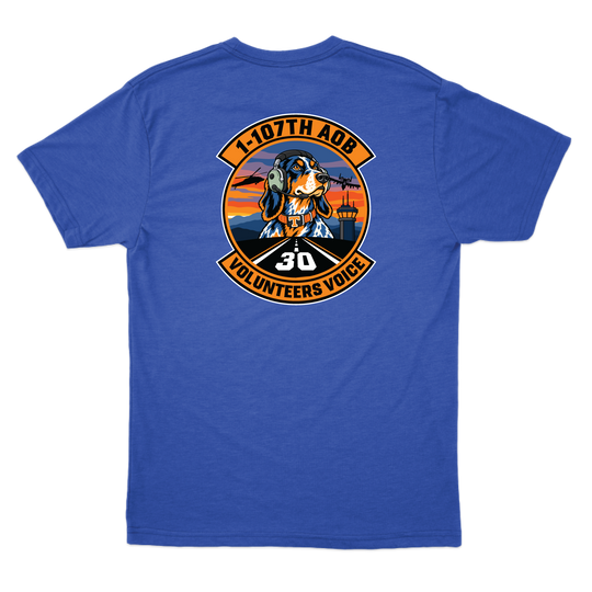 AOB1107_tee_heatherroyal_back.png