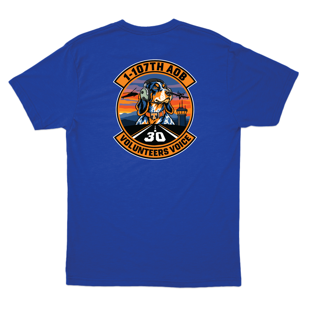AOB1107_tee_royal_back.png