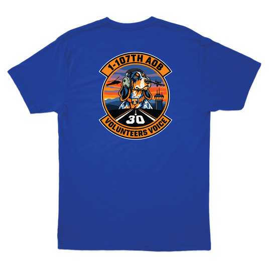 AOB1107_tee_royal_back.png