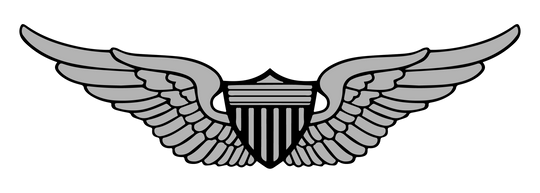 Woobie Hoodie — Basic Army Aviator Wings Embroidery