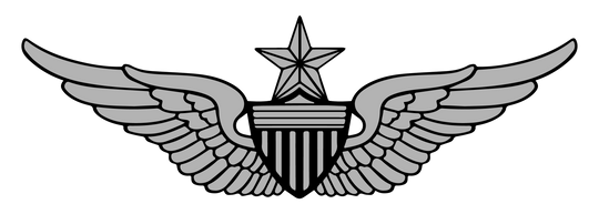 Woobie Hoodie — Senior Army Aviator Wings Embroidery