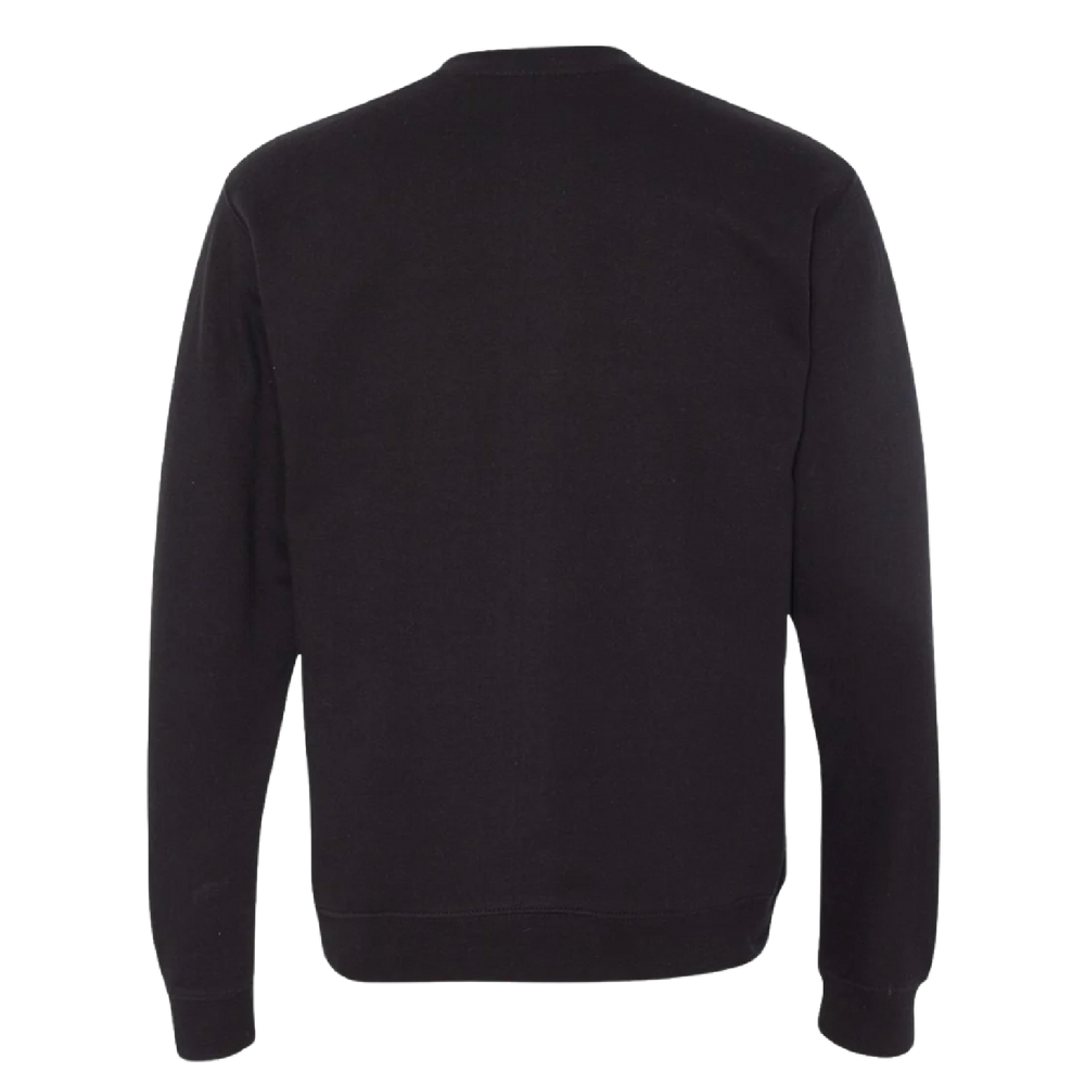 BB_V2_crewneck_black_back.png