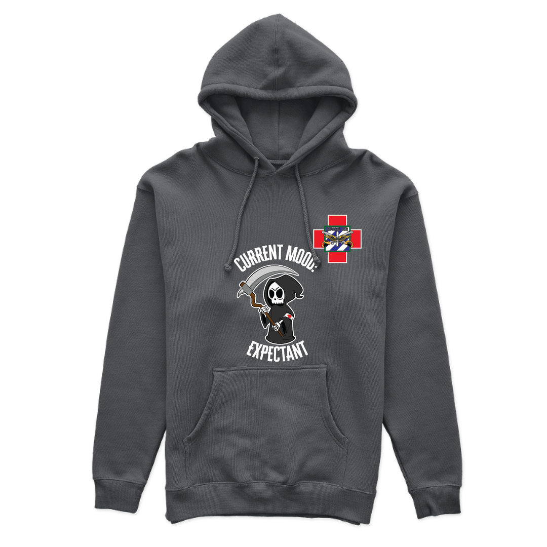 BDE Med Ops, HHC, 3 CAB Hoodies