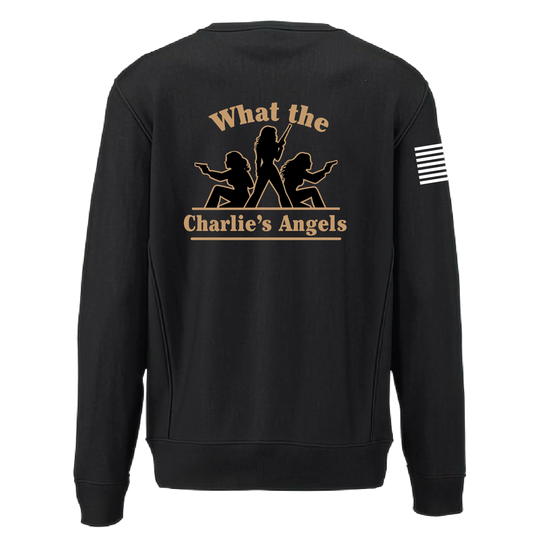 B CO 1-230TH_heavyweightcrewneck_black_back.png