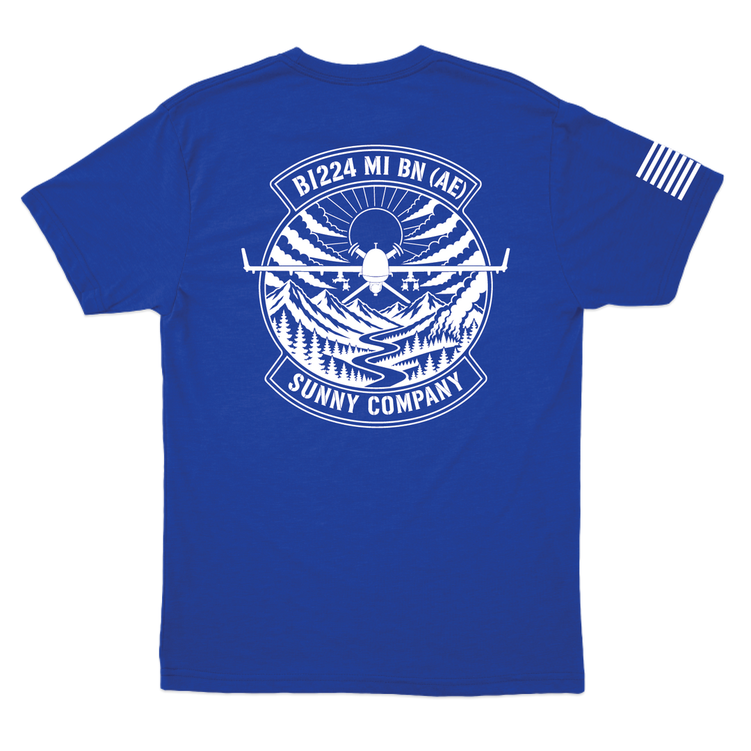 B CO 224_tee_royal_back.png