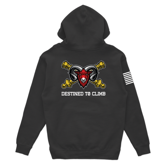 B BTRY, 3-157 FAR "Bighorn" W/ Flag Hoodies