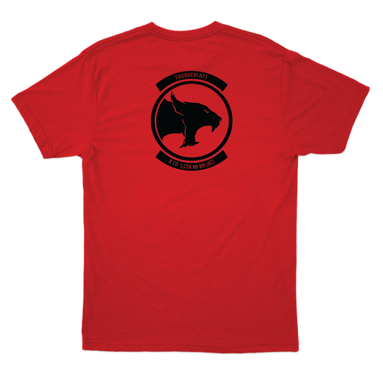 B Co, 15th MI BN (AE) "Thundercats" T-Shirts