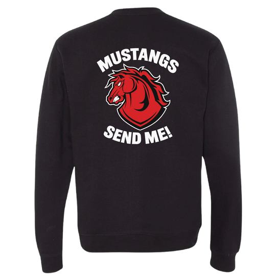 C CO CHARGERS_crewneck_black_back.png