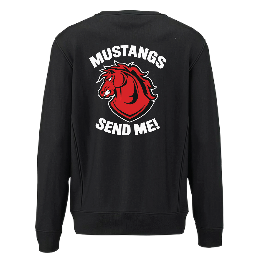 C CO CHARGERS_heavyweightcrewneck_black_back.png