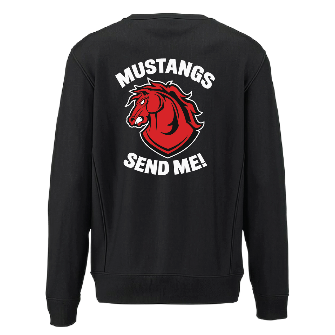 C CO CHARGERS_heavyweightcrewneck_black_back.png