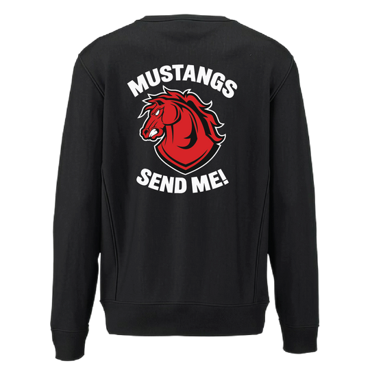 C CO CHARGERS_heavyweightcrewneck_black_back.png