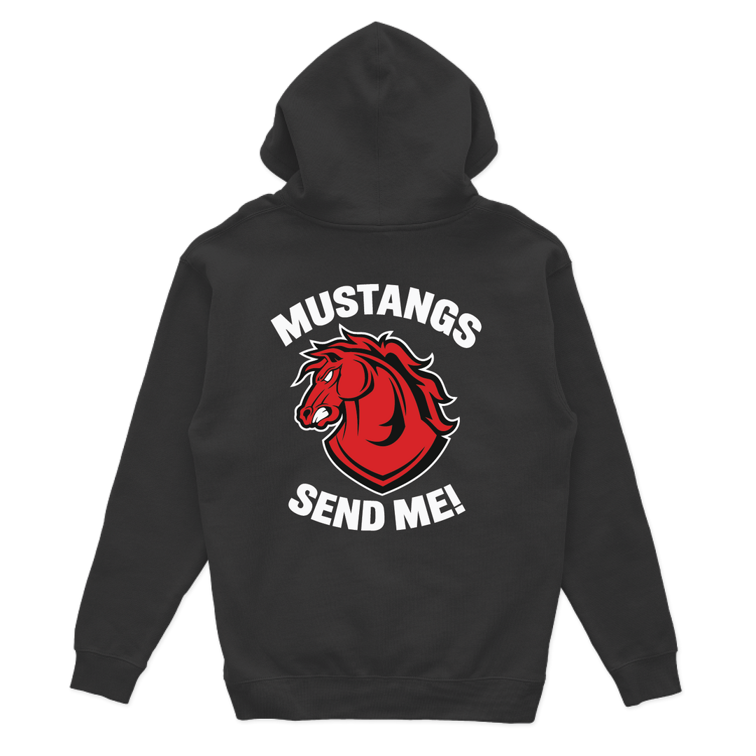 C CO CHARGERS_hoodie_black_back.png