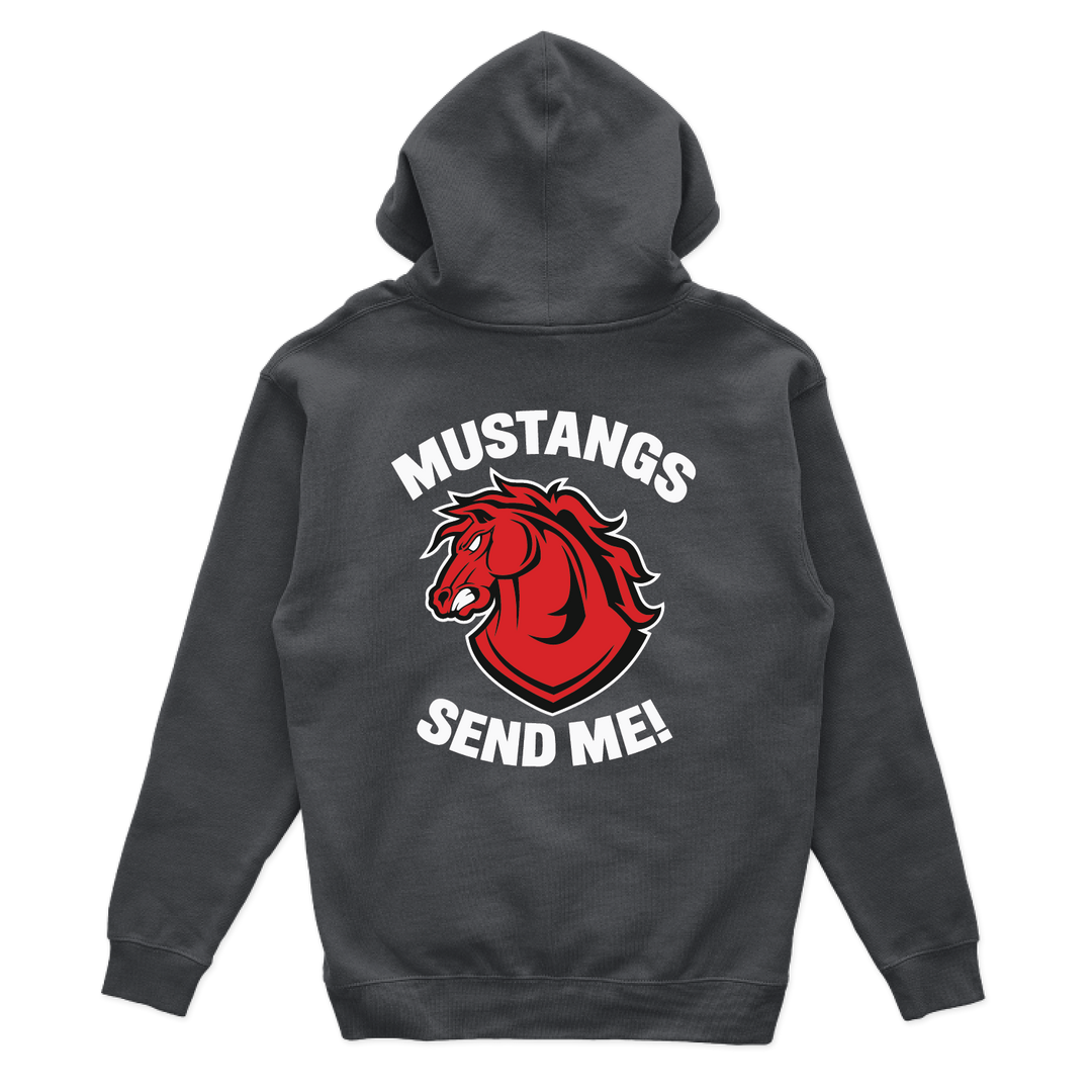 C CO CHARGERS_hoodie_charcoal_back.png