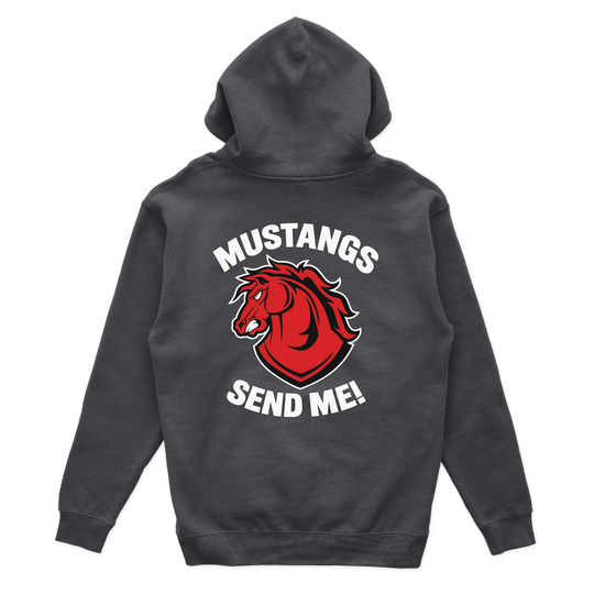 C CO CHARGERS_hoodie_charcoal_back.png