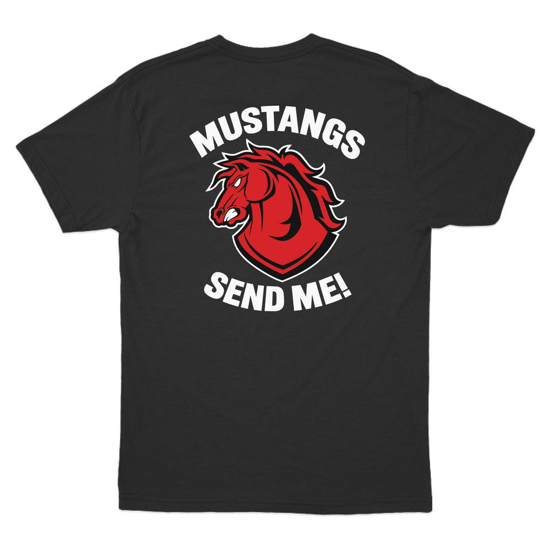 C CO CHARGERS_tee_black_back.png