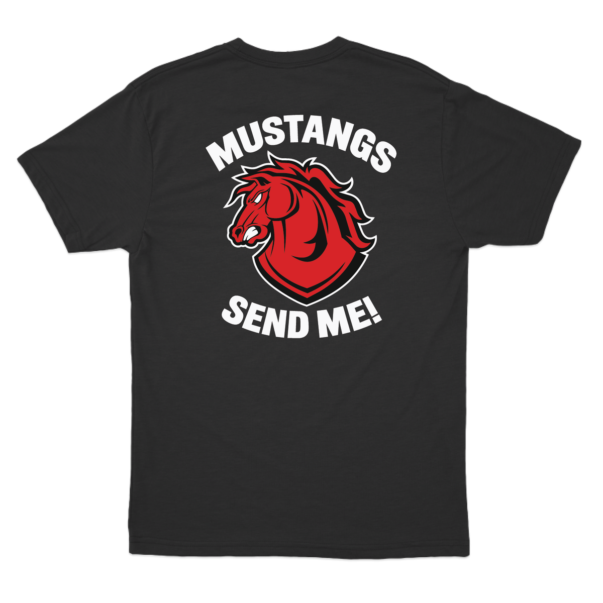 C CO CHARGERS_tee_black_back.png