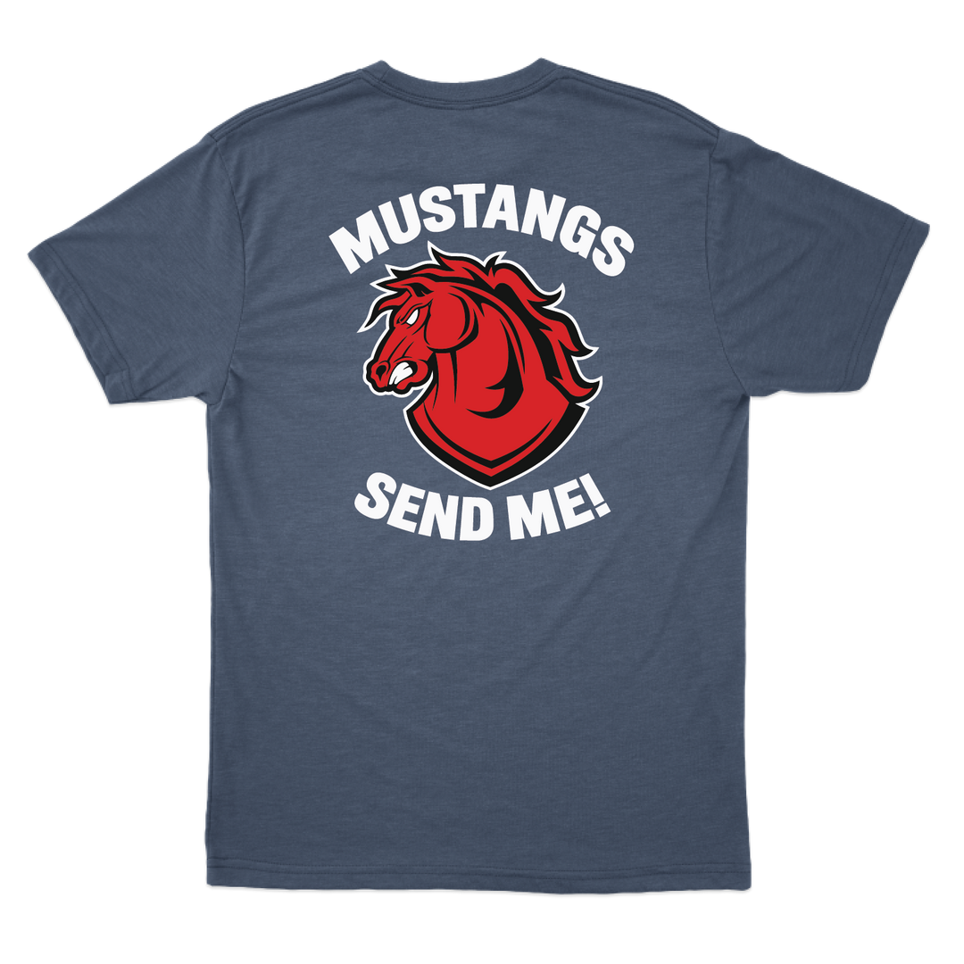 C CO CHARGERS_tee_heathernavy_back.png