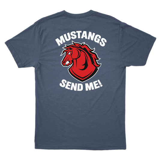 C CO CHARGERS_tee_heathernavy_back.png