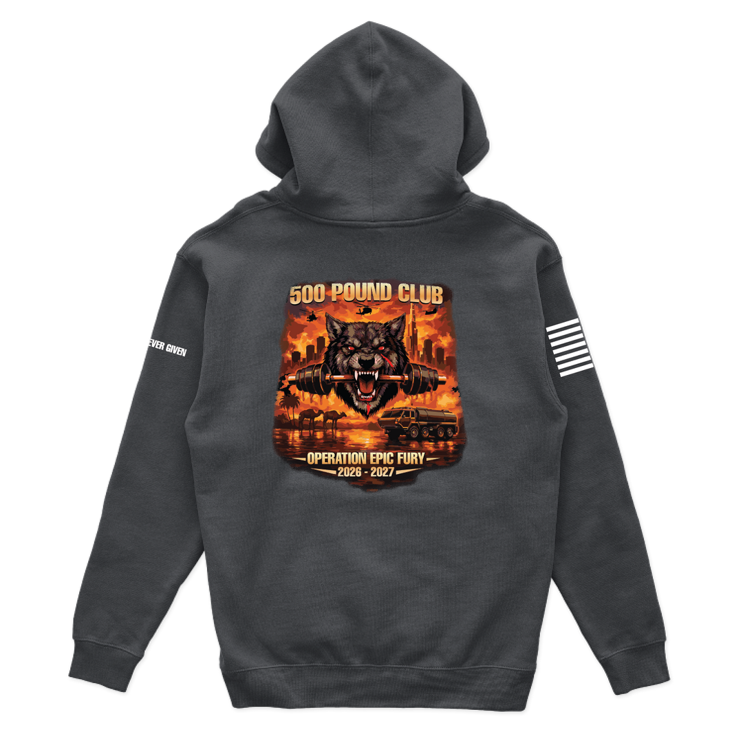 DCo182AB_500_hoodie_charcoal_back.png