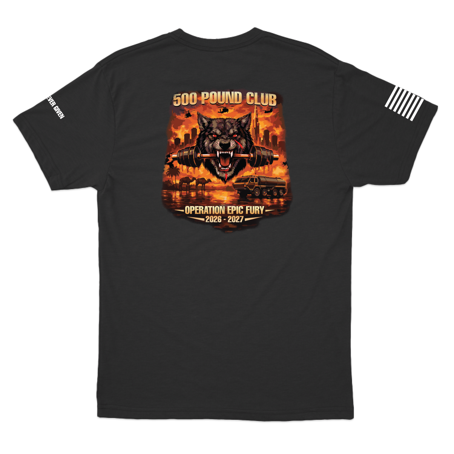 DCo182AB_500_tee_black_back.png