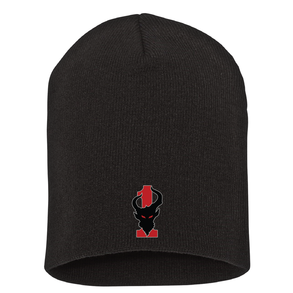 1st Combat Aviation Brigade "Demon" Beanies