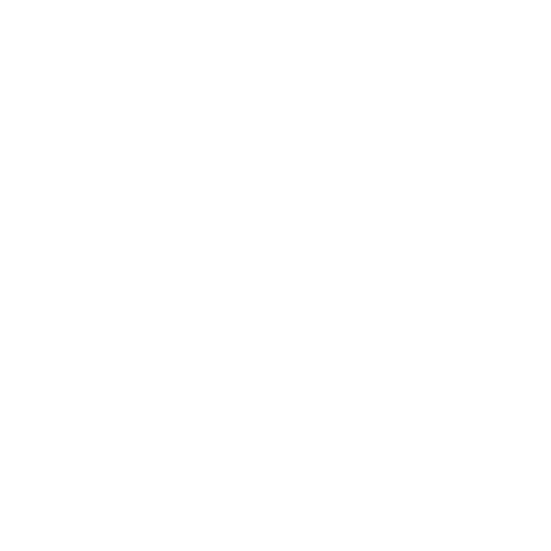 CONAIR Heavyweight Crewneck Embroidery