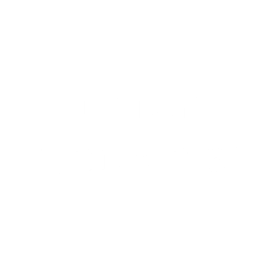 CONAIR Heavyweight Crewneck Embroidery