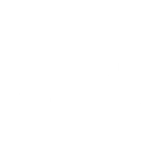 CONAIR Heavyweight Crewneck Embroidery