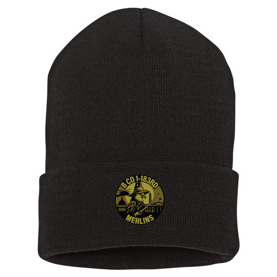 B Co, 1-183 AHB "Merlins" Beanies