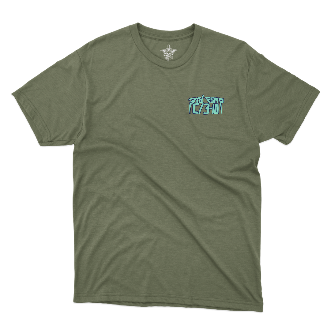 3 FSMP, C Co, 3-10 GSAB “Carebears” T-Shirts