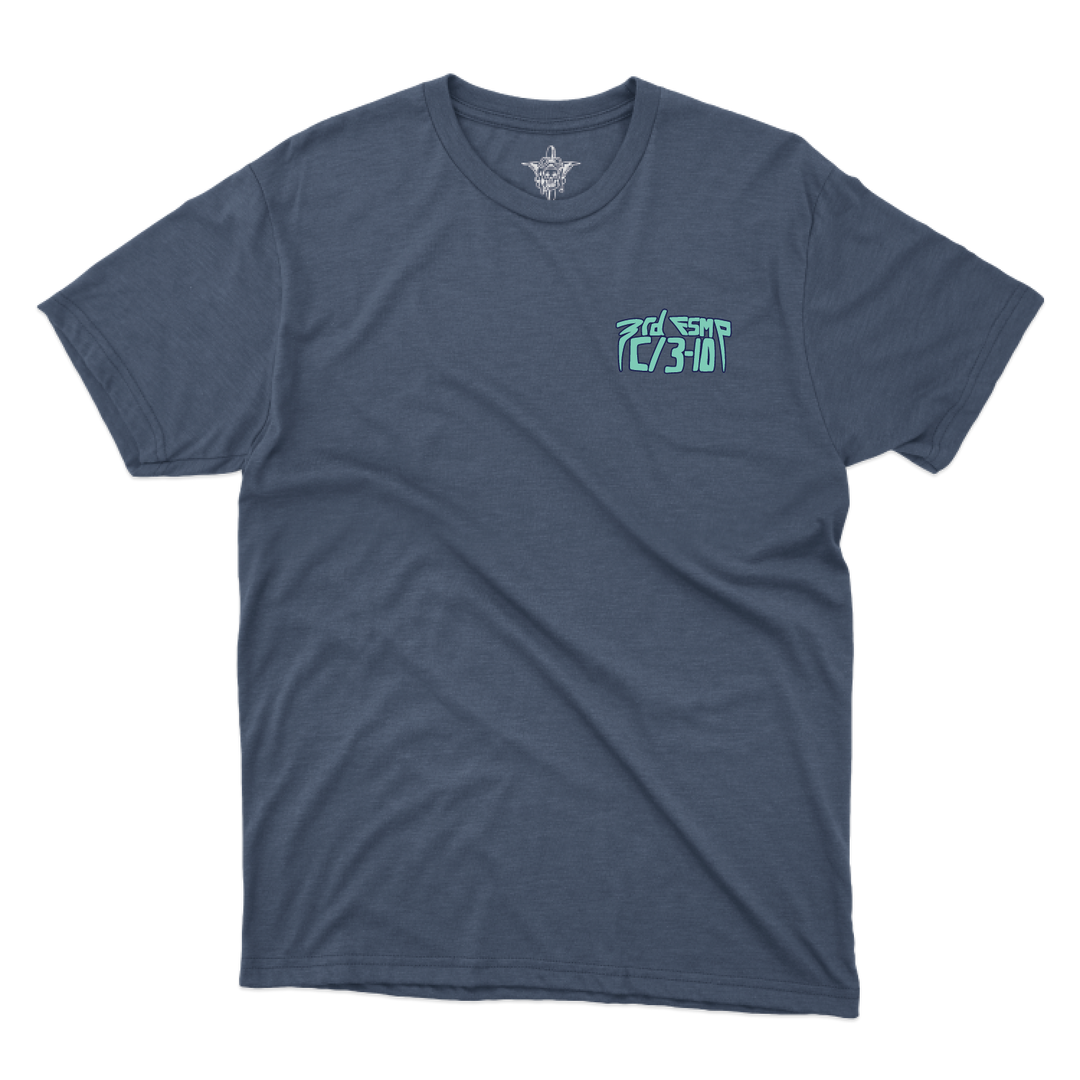 3 FSMP, C Co, 3-10 GSAB “Carebears” T-Shirts