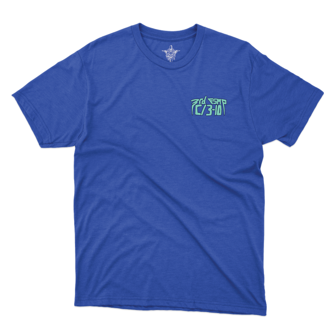 3 FSMP, C Co, 3-10 GSAB “Carebears” T-Shirts