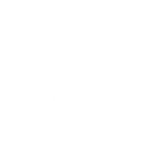 CONAIR Heavyweight Crewneck Embroidery