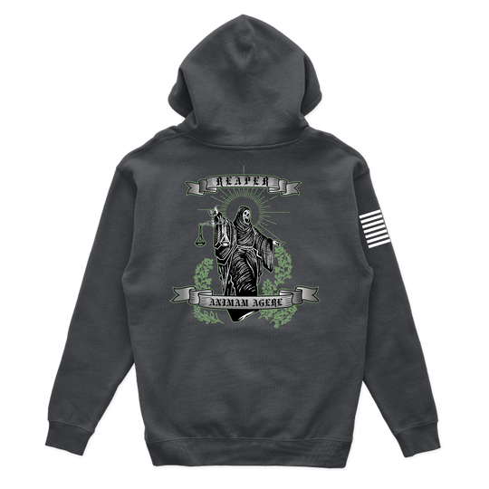 4th Platoon "Reapers" B CO, 1-297 IN V3 Hoodies