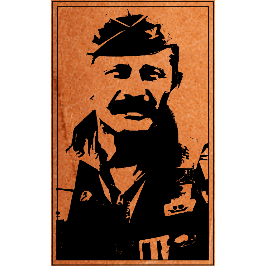 Robin Olds