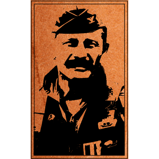 Robin Olds