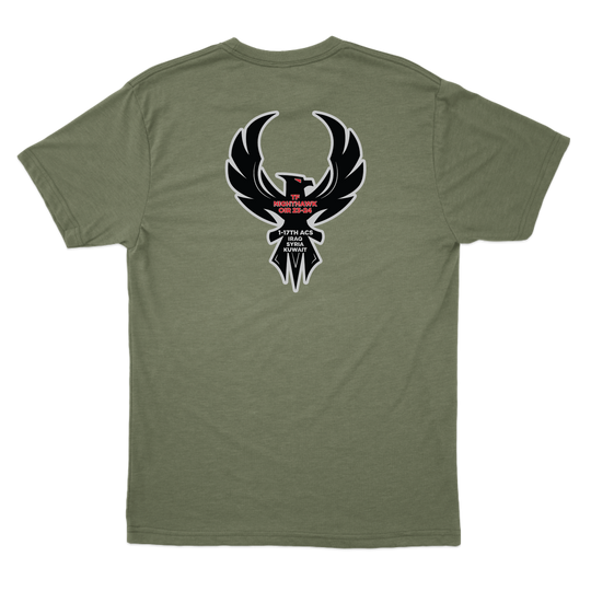 1-17 ACS "TF Nighthawk" T-Shirts