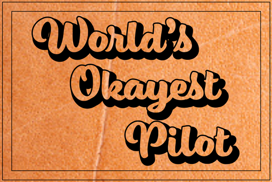 World's Okayest Pilot