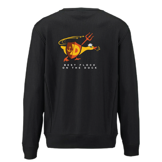 VT NROCT P01_heavyweightcrewneck_black_back.png