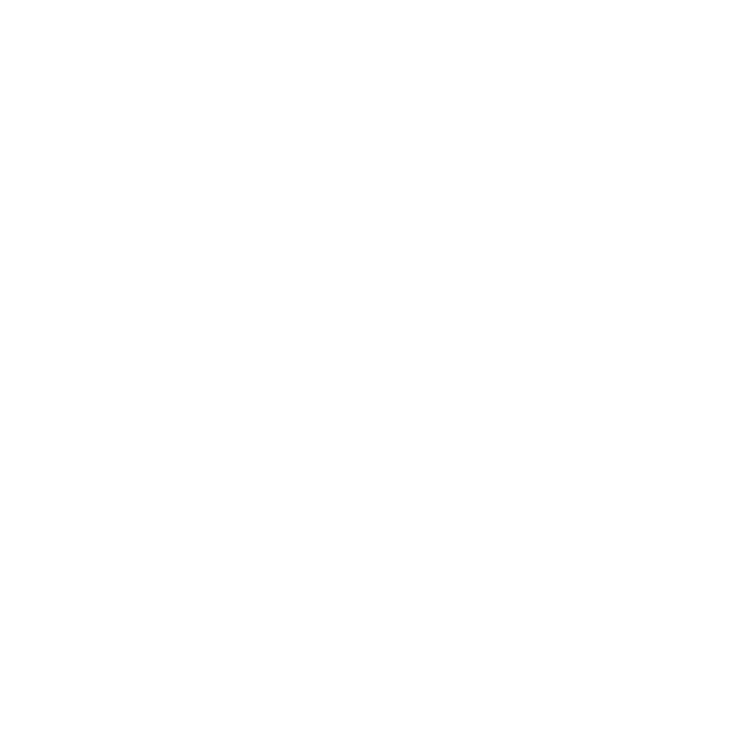 CONAIR Heavyweight Crewneck Embroidery