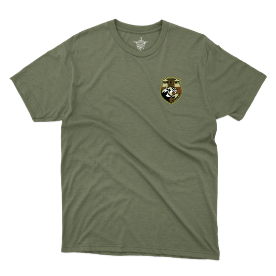 C Co, 3-238th AVN REG MEDEVAC T-Shirts