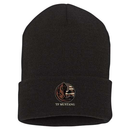 A Co, 1-114 AVN S&S TF Mustang Beanies
