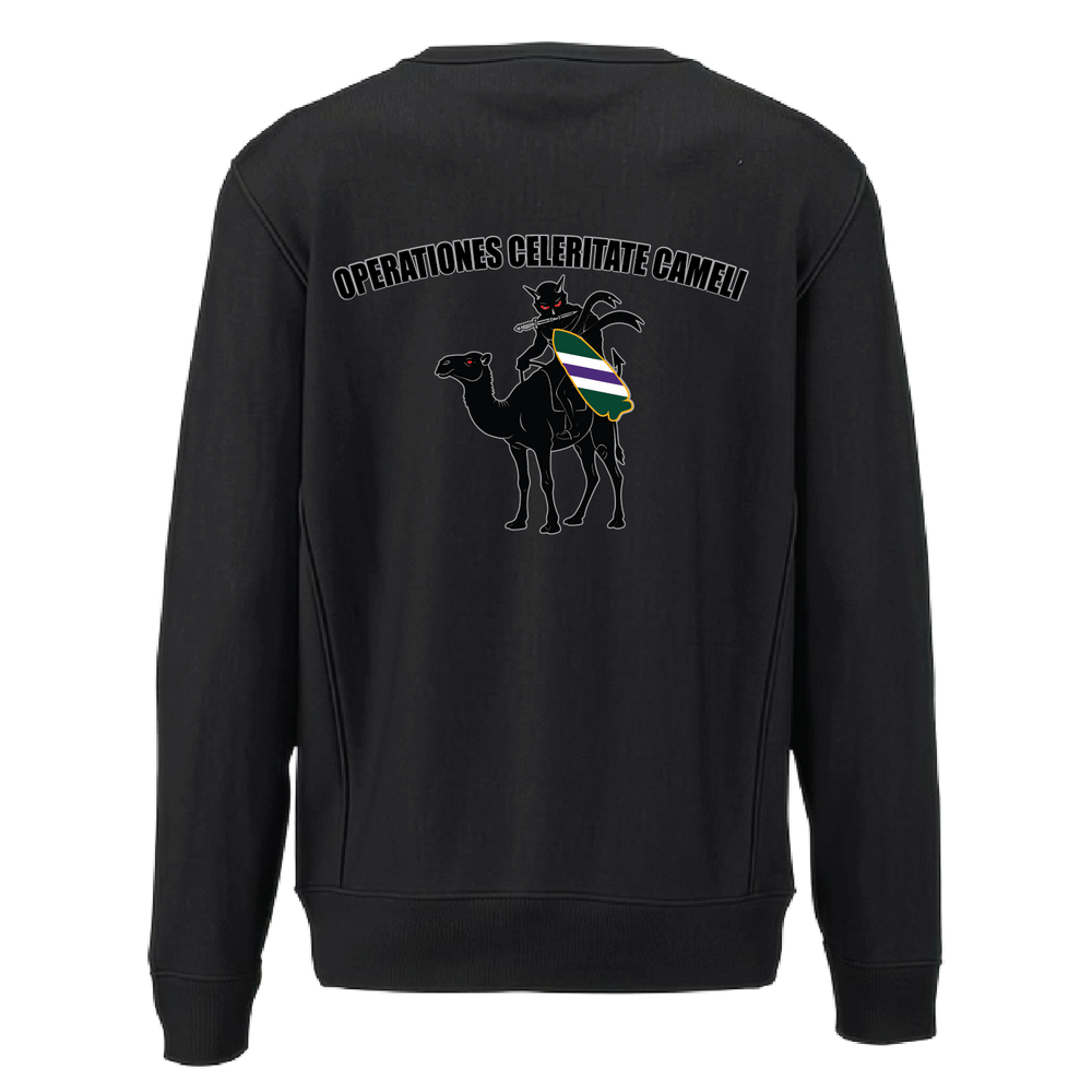 aco96thcabn_heavyweightcrewneck_black_back.png