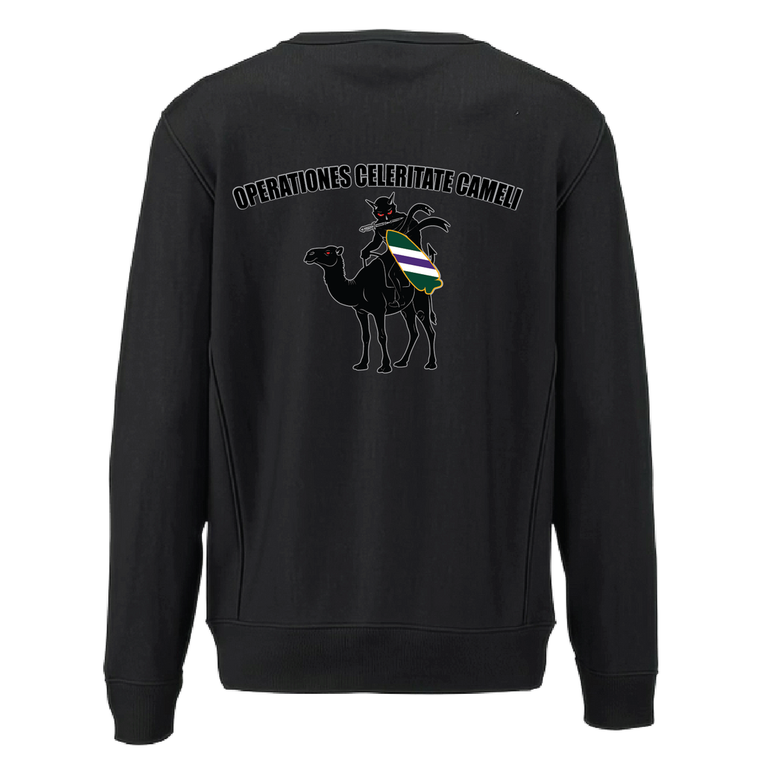 aco96thcabn_heavyweightcrewneck_black_back.png