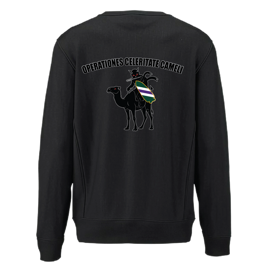 aco96thcabn_heavyweightcrewneck_black_back.png
