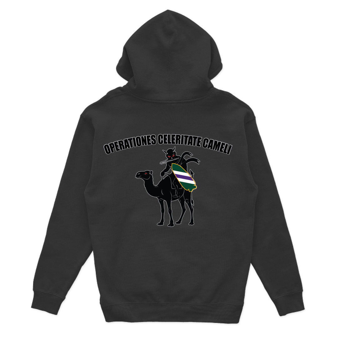 aco96thcabn_hoodie_black_back.png