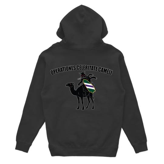 aco96thcabn_hoodie_black_back.png